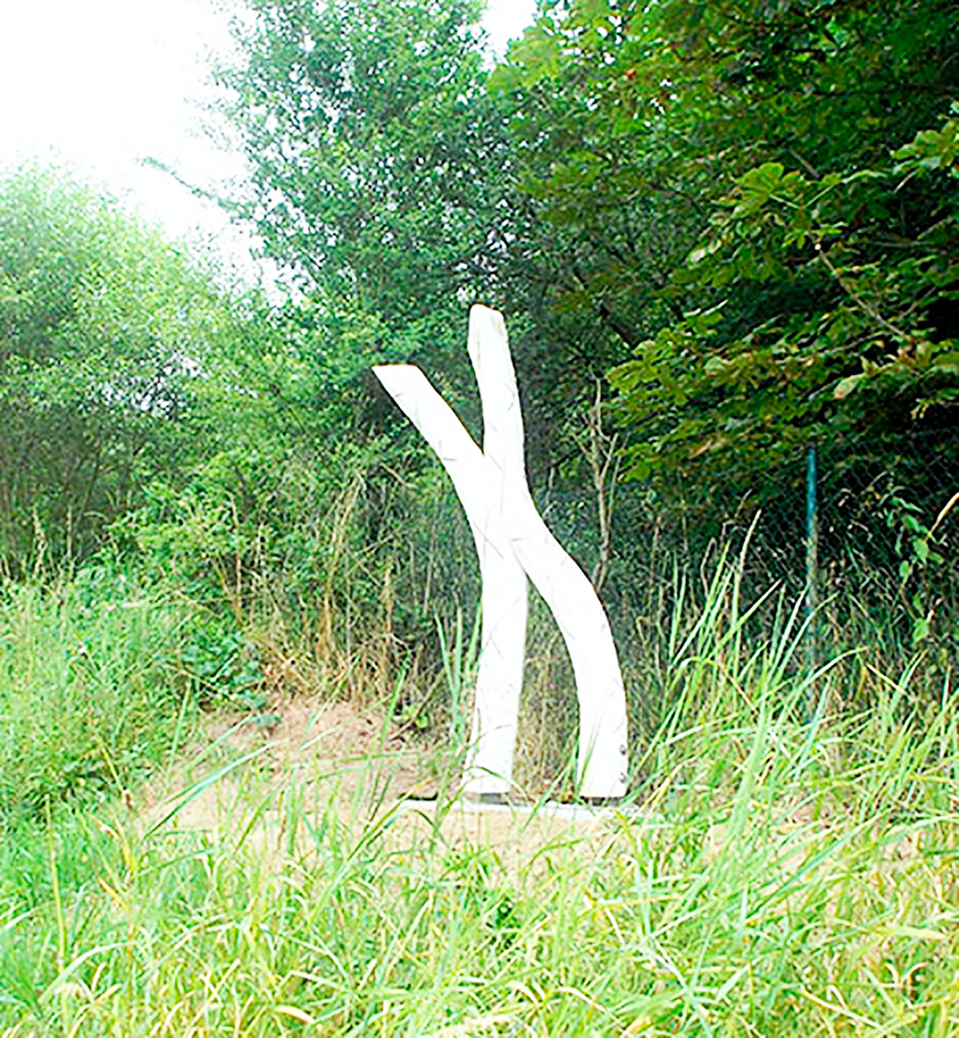 Ein X für ein U - Ars-Natura Johannesberg - © USCH QUEDNAU